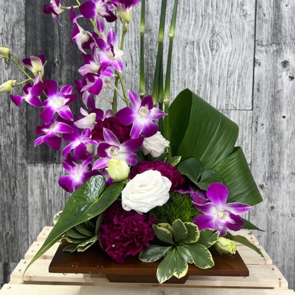 Meet your Posher, Sandra - Picture 1 of 1